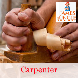 Carpenter Mr. Arindam Pandit in Sibpur